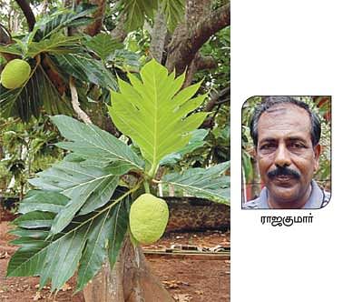 நீங்கள் கேட்டவை