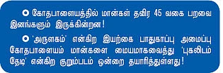 மான்களும் நாங்களும் !