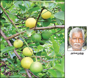 நீங்கள் கேட்டவை
