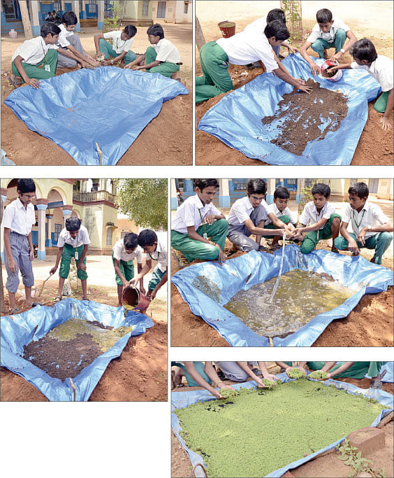 நீங்கள் கேட்டவை : ''நீரோட்டம் பார்ப்பது எப்படி?''
