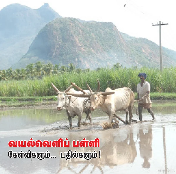 ''நடவு வயல்களைத் தயார் செய்வது எப்படி..?''
