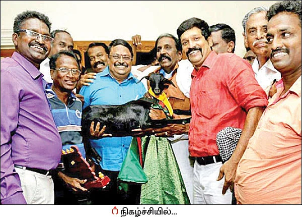 பிறந்த நாள் பரிசாக ஆடு... களிப்பில் ஆழ்ந்த கவிஞர்!