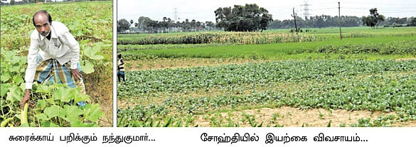கிராமத்துக்கு ஒரு இயற்கை விவசாயி...!