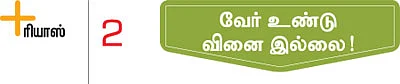 பார்வை பலம் தரும் மூக்கிரட்டை!