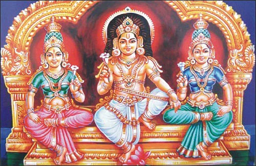சுவாமியே சரணம் ஐயப்பா!