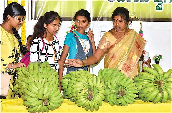 உலகம் சுற்றும் உழவு!