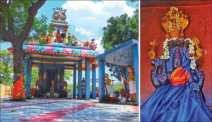 விளைச்சலில் முதல்பங்கு அம்மனுக்கே!