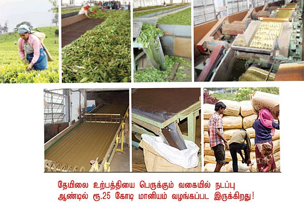 நீலகிரியிலிருந்து ஒரு நேரடி ரிப்போர்ட்!