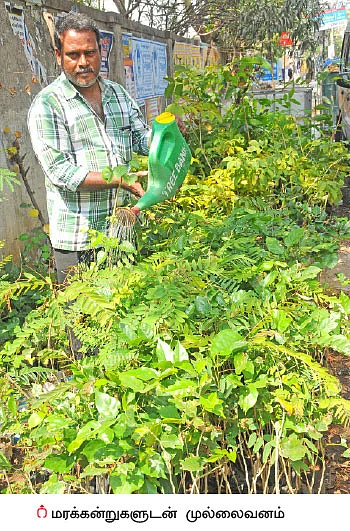 மனிதனைவிட மரங்களை நேசி... மரங்களின் காதலர்