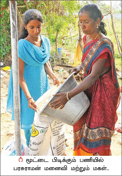 நிச்சய வருமானம் கொடுக்கும் மலர் சாகுபடி! - சம்பங்கி... ரோஜா... மல்லி...