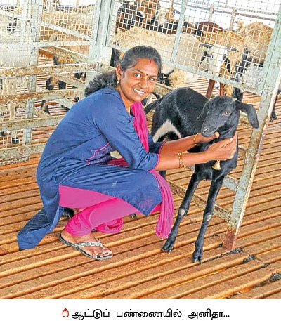 25 ஏக்கர்... மாதம் ரூ 11 லட்சம் லாபம்!