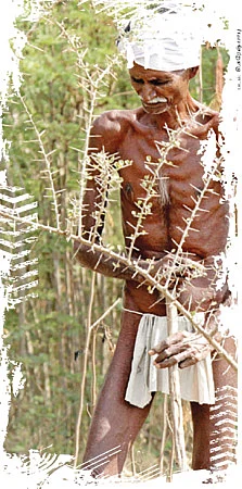 இந்தியா சரிகிறதா?