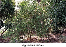 நிறைவான வருமானம்...நிம்மதியான வாழ்க்கை...