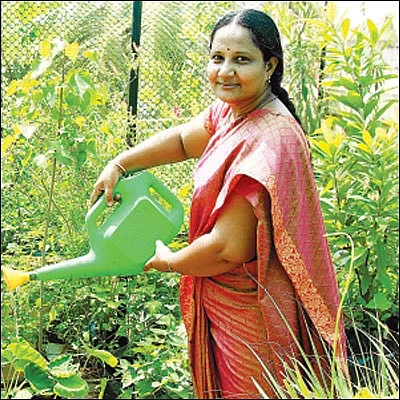 மொட்டை மாடியில் விளையும் சிறுதானியங்கள்!