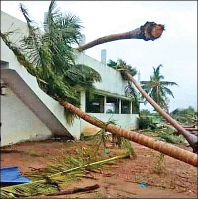 திண்டுக்கல் பூட்டை உடைத்த கஜா!
