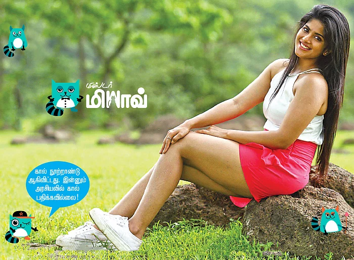 மிஸ்டர் மியாவ்