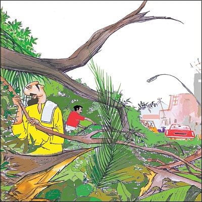 மண்புழு மன்னாரு: புயல், பூகம்பத்தை முன்னறிவிக்கும் பறவைகள்!