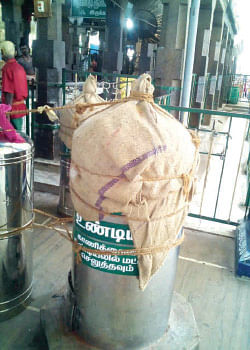 நாரதர் உலா