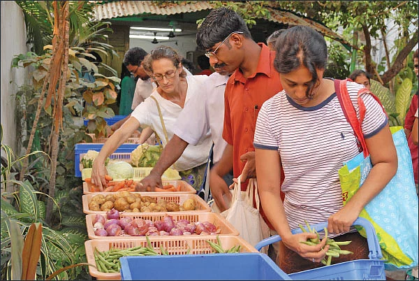 விளையும் விலையும்! - சந்தைக்கு வழிகாட்டும் தொடர் - 19