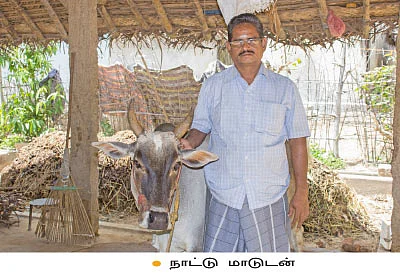 மணக்கும் ‘ஜீரோ பட்ஜெட்’ பட்டன் ரோஜா!