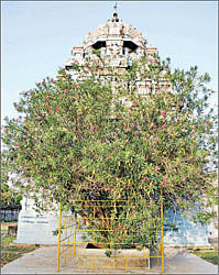 வடகண்டம் ஸ்ரீகரவீரநாதர் கோயில்