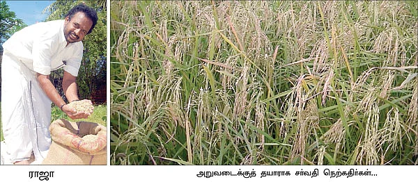 சர்வதி...
