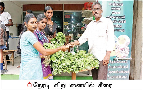 பத்து ஏக்கர் நிலத்தில் ஒரு பசுமைப் பண்ணை!