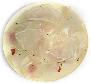 30 வகை கோதுமை ரெசிபி