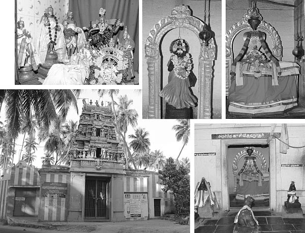 மாணவர்களுக்கு அருளும் மாணிக்கவாசகர்!