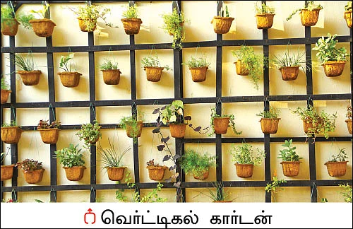 மாடியில் தோட்டம்... மணம் பரப்பும் காய்கறிகள்!