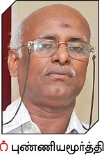 தேங்காய்ப் பிண்ணாக்கு... மாடுகளுக்குக் கொடுக்கலாமா?