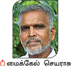 நல்மருந்து தெரிந்த செடிகள்... தெரியாத பயன்கள்! - 15