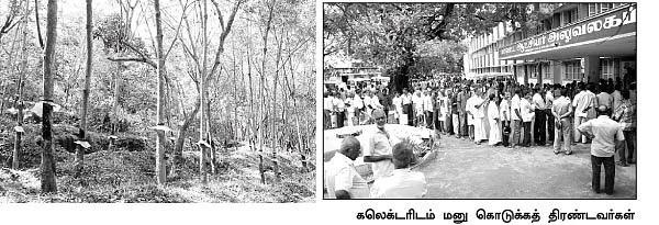 ரப்பர் உற்பத்தி குறையுது... விவசாயிகள் வாழ்க்கை சரியுது!