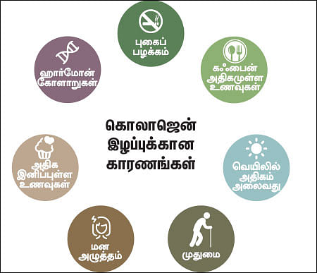 சகலகலா சருமம் - 28