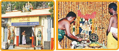 1,008 ஜாங்கிரி மாலை... 10,008 வடை மாலை!