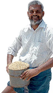 அரை ஏக்கரில் 21 மூட்டை...