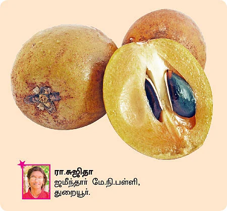 சுட்டி ஸ்டார் நியூஸ்!