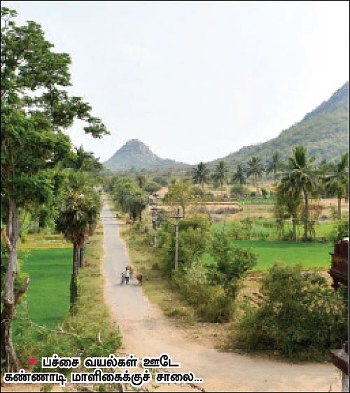 தேசிங்கு ராஜனின் குதிரைப் பெயர் என்ன?