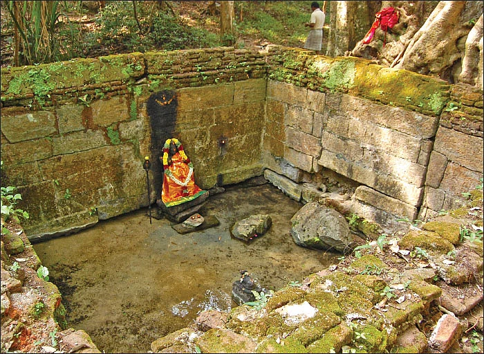 சித்தர்கள் போற்றும் அத்ரி மலை