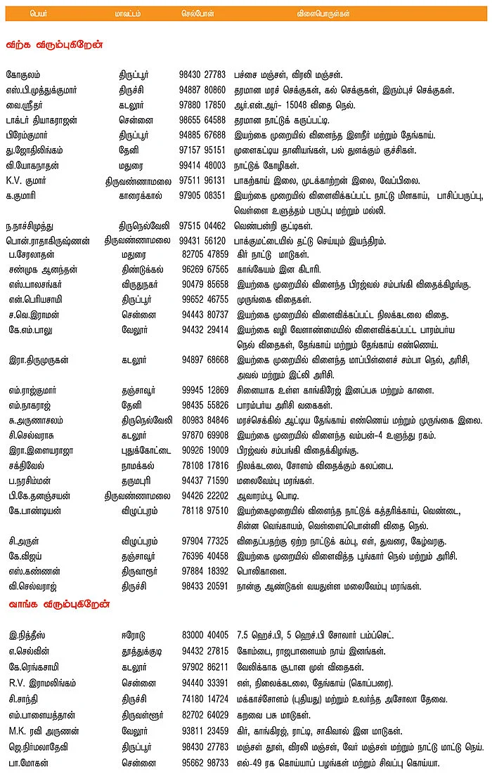 பசுமை சந்தை