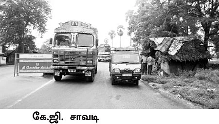 செக் போஸ்ட் திமிங்கிலங்கள்!