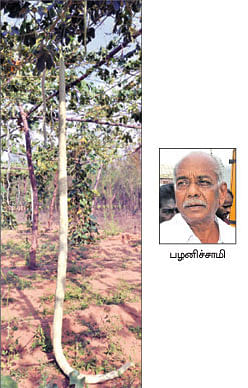 நீங்கள் கேட்டவை