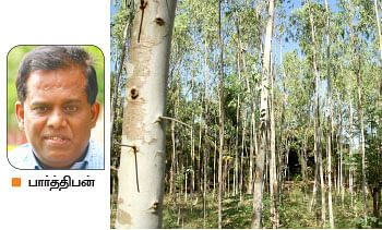 நீங்கள் கேட்டவை : துளசியை ஏக்கர் கணக்கில் சாகுபடி செய்ய முடியுமா?
