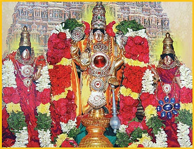 மூலவருக்கு புஷ்ப அலங்காரம்... உத்ஸவருக்கு திருமஞ்சனம்!