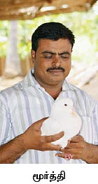 பறவை வளர்ப்பு... பணத்துக்குப் பணம்; மகிழ்ச்சிக்கு மகிழ்ச்சி!