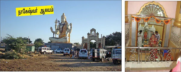 பிருந்தாவனம் முதல்... பிரயாகை வரை!