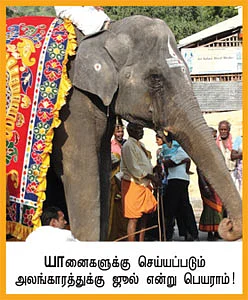 ருக்கு எங்கள் செல்லம்!