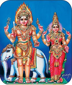 2017 புத்தாண்டு ராசிபலன்கள் - எளிய பரிகாரங்களுடன்!