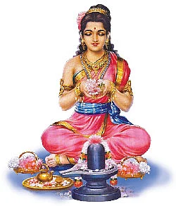 சித்தம்... சிவம்... சாகசம்! - 25
