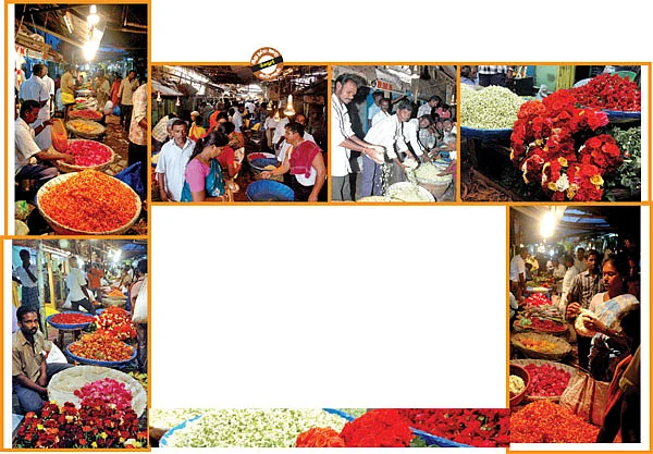 இந்தப் பூக்கள் விற்பனைக்கு!